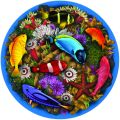 Large Coral Reef
