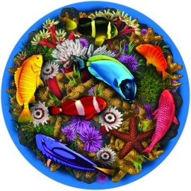 Large Coral Reef
