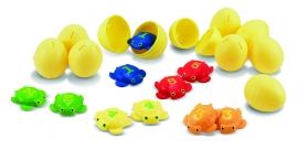 Taffy Turtle Catch & Hatch