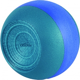 Kickball