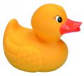 Duckie