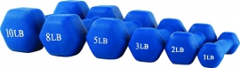 Neoprene Dumbbell 12bs