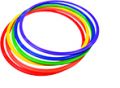 Hula Hoop 24”