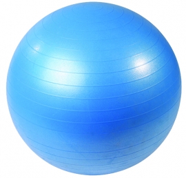 Stability Ball 65cm Blue