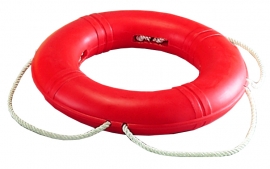 Dolphin Life-Ring Buoy 20”